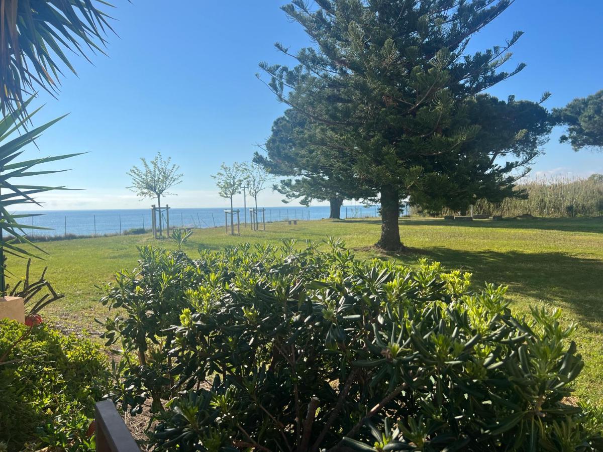 Appartement N 216 Moriani Plage Santa-Lucia-di-Moriani Buitenkant foto